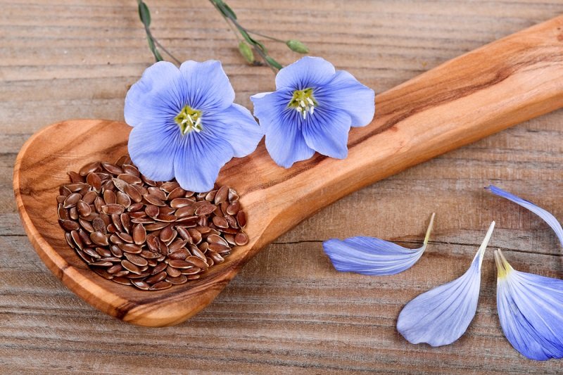 польза льняного семени для здоровья
