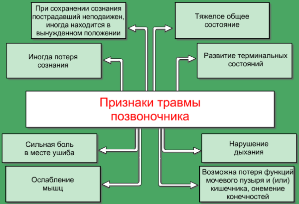 Признаки перелома позвоночника