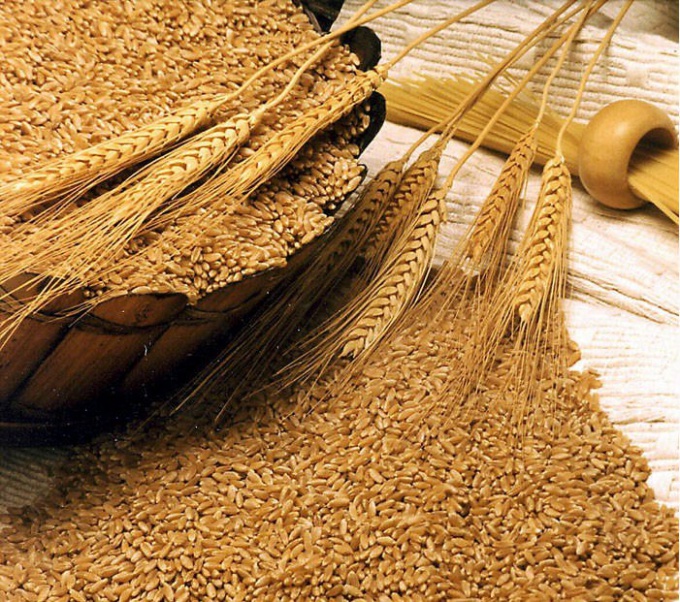 Как приготовить отвар из пшеничных отрубей
