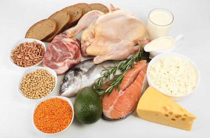 белковая диета что можно есть список продуктов