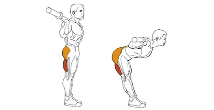 Наклоны туловища со штангой