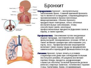 Мокрота в бронхах образуется при бронхите 