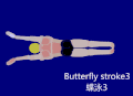 Butterfly stroke3.gif