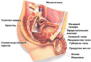 Профилактические меры 