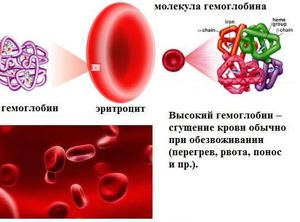 О чем говорит повышенный гемоглобин в крови у мужчин