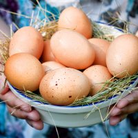 Можно ли есть яйца каждый день: и что от этого будет?