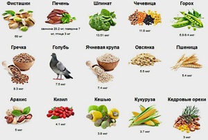 Какие продукты питания содержат железо