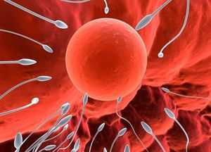 причины красной спермы