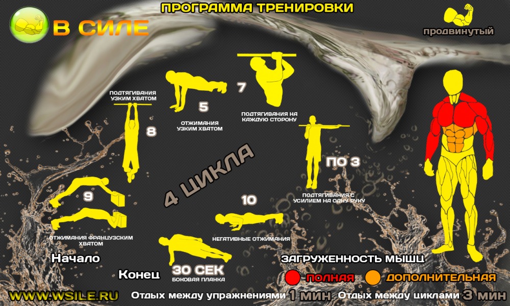 53 тренировочных программы для Начинающих, Продвинутых, Профессионалов и Мастеров