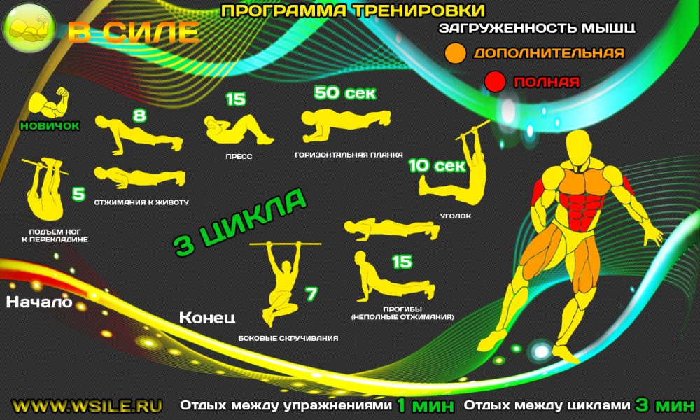 53 тренировочных программы для Начинающих, Продвинутых, Профессионалов и Мастеров