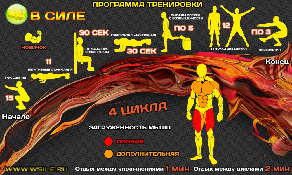 53 тренировочных программы для Начинающих, Продвинутых, Профессионалов и Мастеров