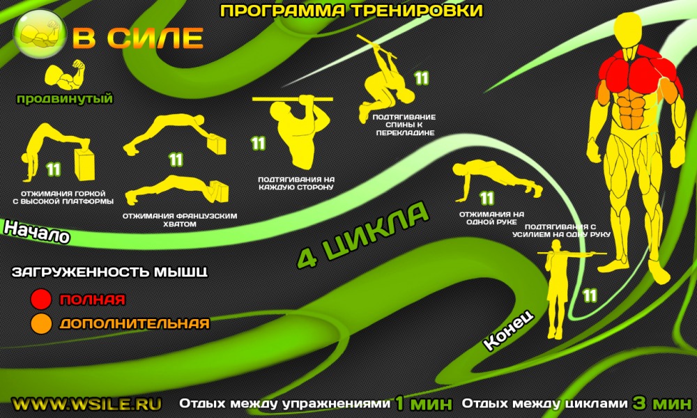 53 тренировочных программы для Начинающих, Продвинутых, Профессионалов и Мастеров