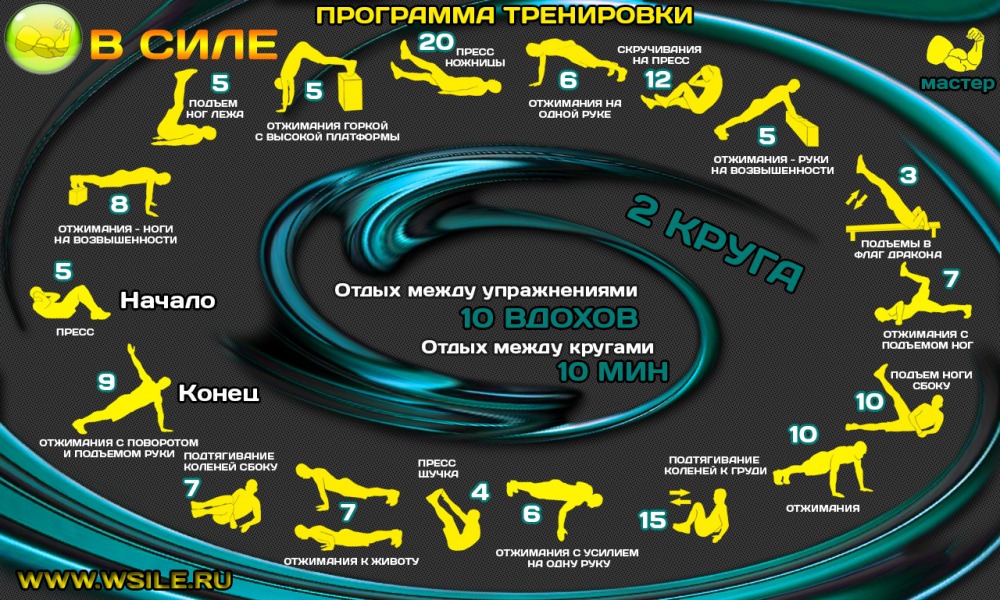 53 тренировочных программы для Начинающих, Продвинутых, Профессионалов и Мастеров