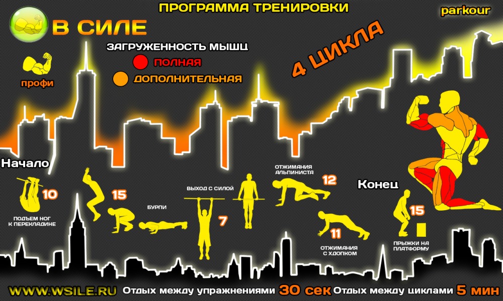 53 тренировочных программы для Начинающих, Продвинутых, Профессионалов и Мастеров