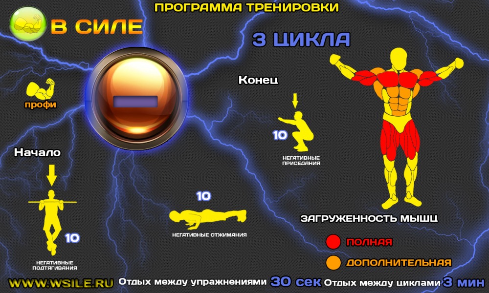 53 тренировочных программы для Начинающих, Продвинутых, Профессионалов и Мастеров