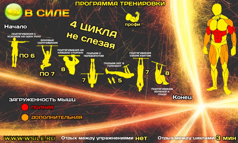 53 тренировочных программы для Начинающих, Продвинутых, Профессионалов и Мастеров