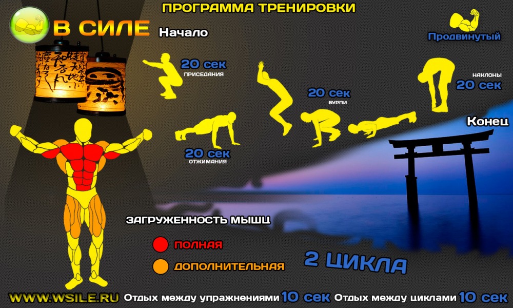 53 тренировочных программы для Начинающих, Продвинутых, Профессионалов и Мастеров