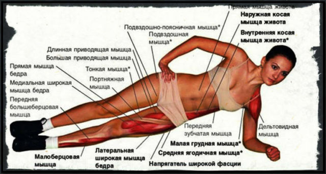 Техника выполнения боковой планки и секреты хорошего эффекта от упражнения