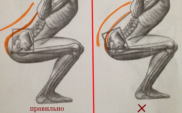 Как правильно приседать со штангой: техника и варианты упражнения
