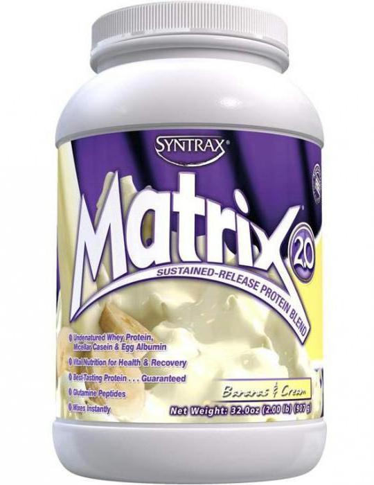 протеин matrix