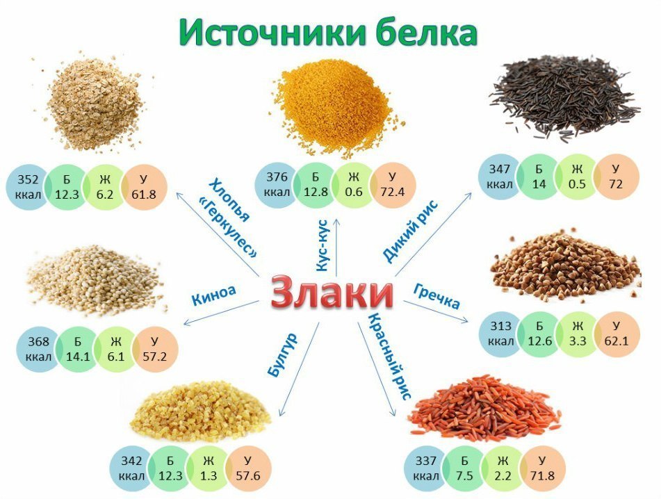 Злаки как источники медленных углеводов