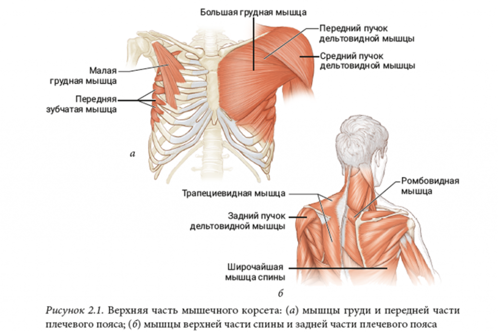 Рисунок2.png