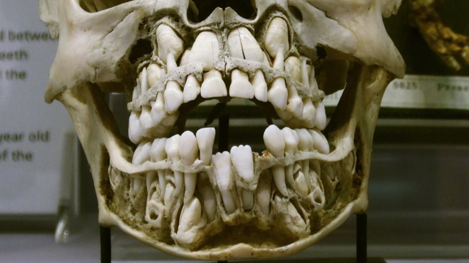 До скольки лет растут зубы у детей