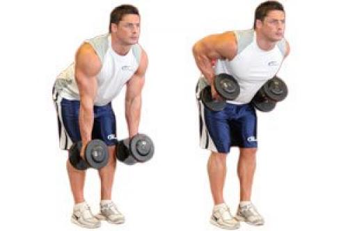 Упражнения на спину в домашних условиях с гантелями для мужчин. Упражнения для мышц спины с гантелями 11