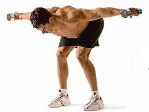 Упражнения на спину в домашних условиях с гантелями для мужчин. Упражнения для мышц спины с гантелями 10