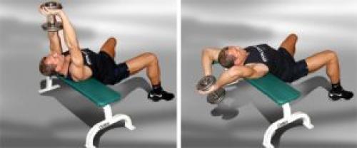 Упражнения на спину в домашних условиях с гантелями для мужчин. Упражнения для мышц спины с гантелями 13