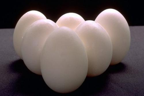 Чем полезны куриные яйца сырые. Чем полезны сырые яйца.
