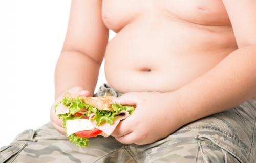 Как быстро накапливается жир в организме. Виды жира в организме. Подкожный и висцеральный жир