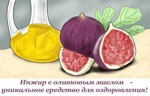 Смешай инжир с оливковым маслом, и ты получишь уникальное средство для оздоровления!