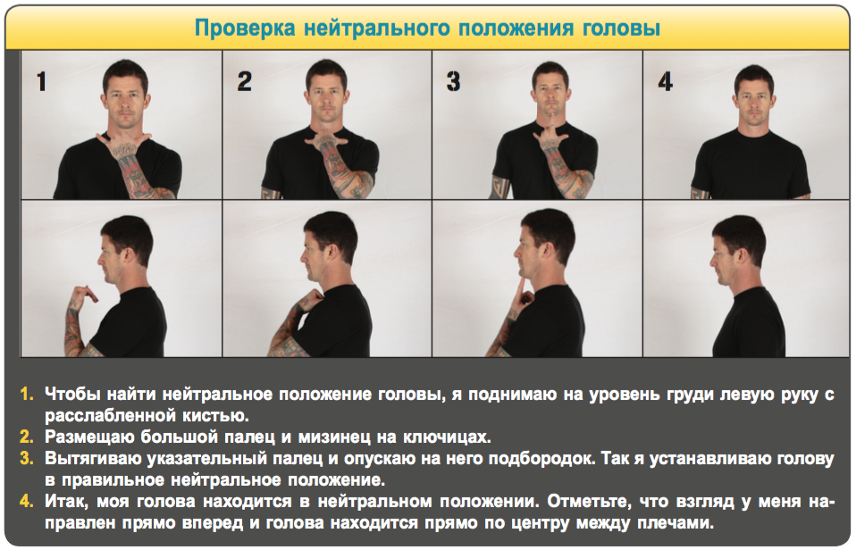 Лицо человека в анфас. Положение головы жесты. Повороты головы в портрете. Портрет в три четверти. Как называется положение головы.